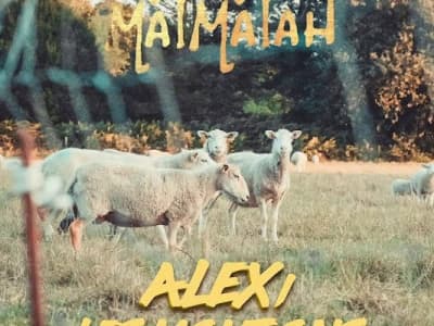 Matmatah - les moutons (Alexi Remix) je pensais pas qu'il existait un mix pour cette chansons)