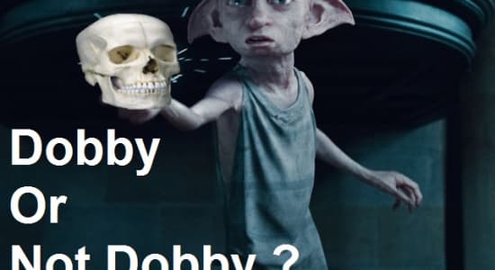 Dobby se pose des questions
