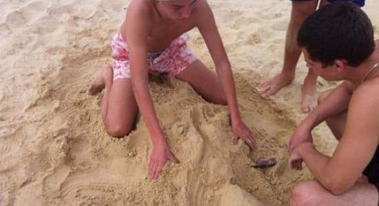 Artistes des bacs à sable