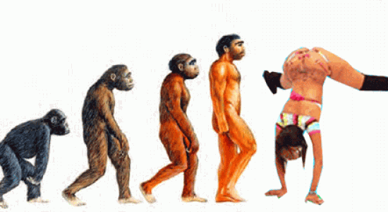 Evolution - Théorie du twerk