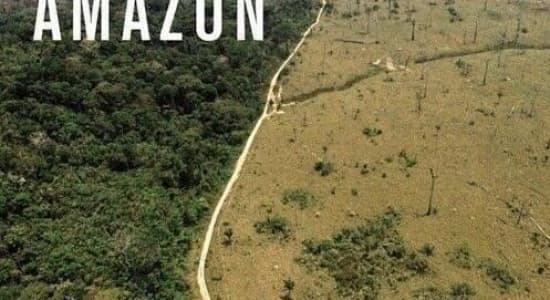 Amazon / Amazoff