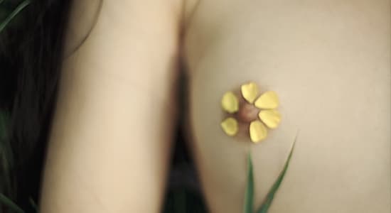 Le bouton d'une fleur
