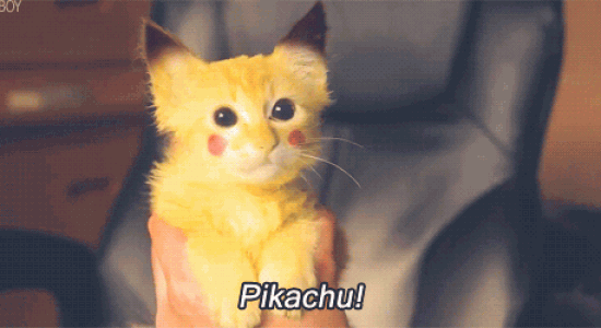 pikachu trop mignon !