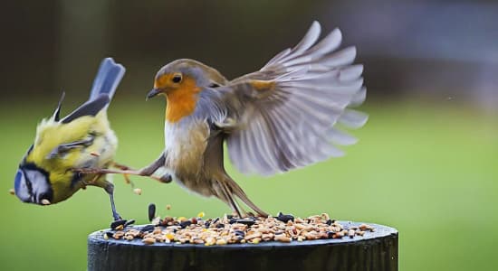 This is Sparta ! 