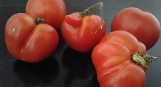 Dickbutt tomato