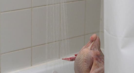 Une jolie poulette sous la douche