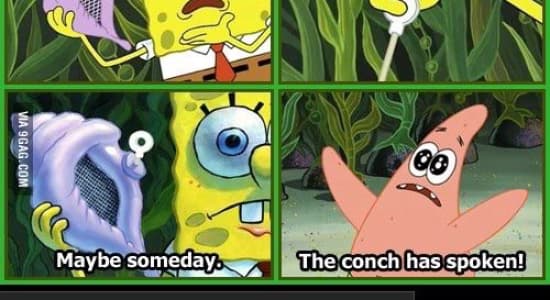 The magic conch knows everything
