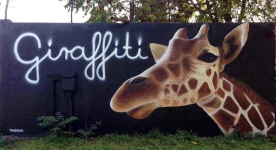 Giraffiti