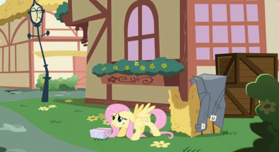 And Fluttershy WIN !