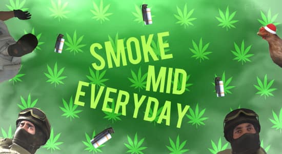 Smoke mid everyday !