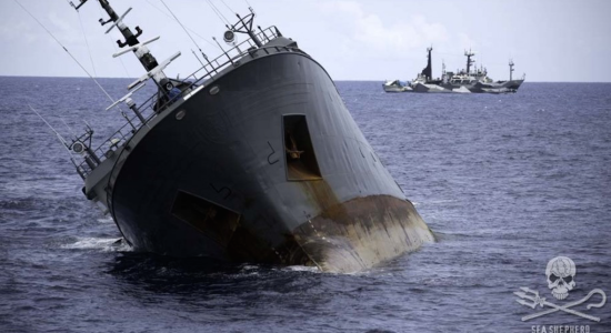 
Naufrage du navire braconnier pourchassé par Sea Shepherd