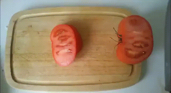 Couper une tranche de tomate lvl débutant