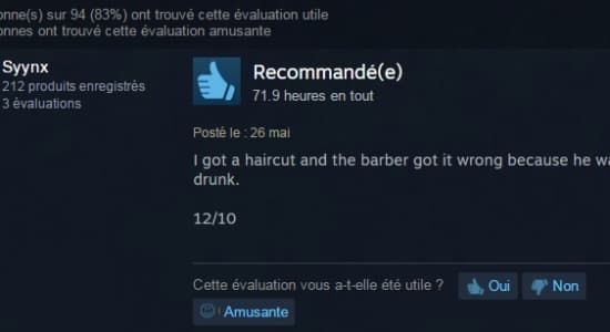Les commentaires Steam sur The Witcher III