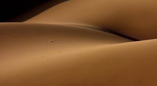 Une belle dune  .
