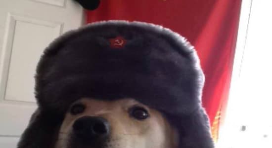 Quand ton chien devient communiste ...