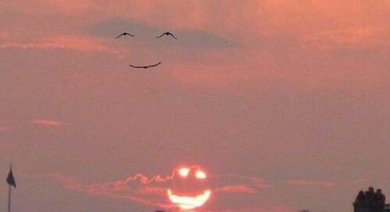 When the sun smile, the birds smile back
