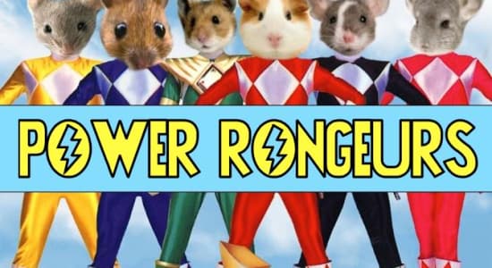 Power Rongeurs