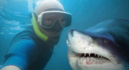 En 2015, le selfie tue plus que le requin