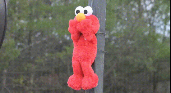 RIP Elmo