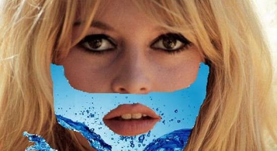 Brigitte Barbed'eau