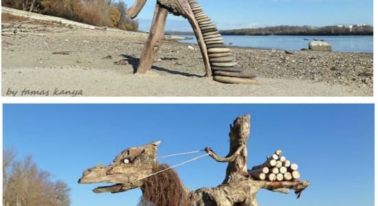 Des sculpture sur la plage ( Tamas Kanya )