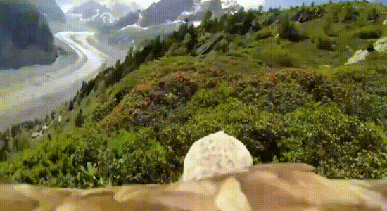 Vol d'un aigle au dessus de Chamonix en pov 