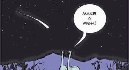 Wish upon a star !