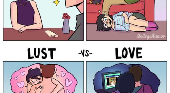 Love and Lust comparison