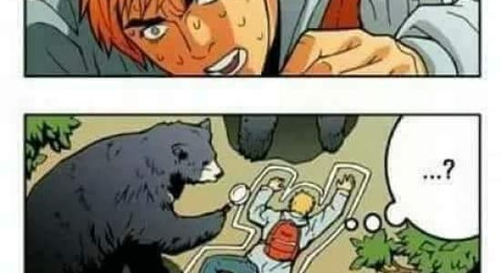 Stupid bear