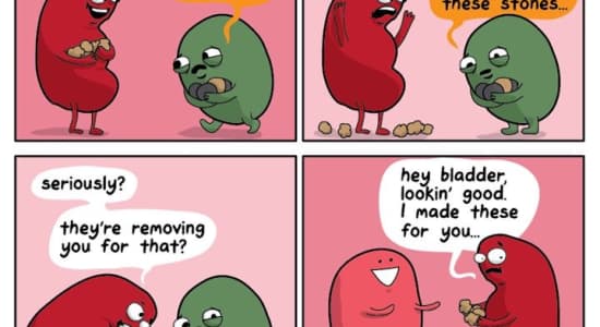 Une histoire d'organes