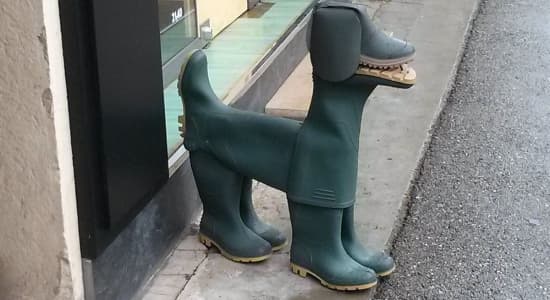 Des bottes qui ont du chien.