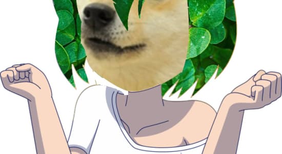 Doge-chan