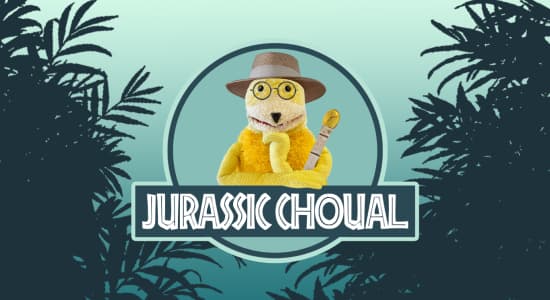 Présentation du groupe Jurassic Choual
