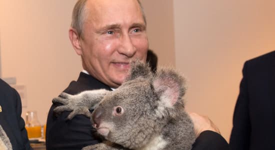 Vladimir est l'ami des animaux, une preuve supplémentaire de sa suprémacie