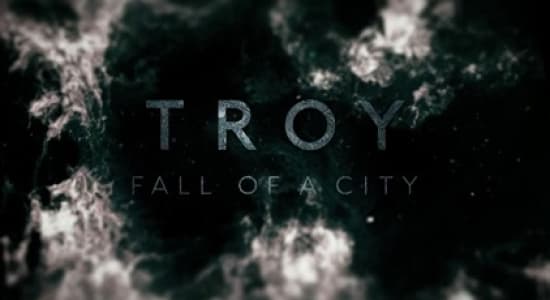 Troy Fall of a city