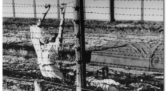 Les suicides dans le camps de Mauthausen