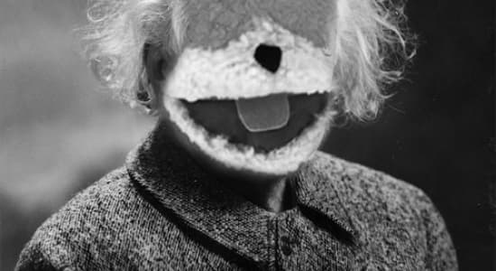 Choualbert Einstein - La science par les chouals, pour les chouals