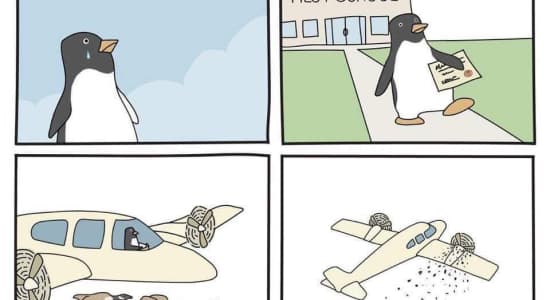 Penguins can't fly