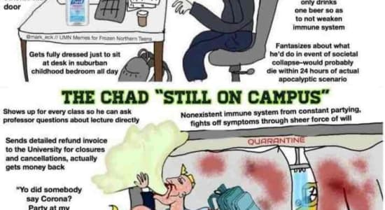 Covid-19 : Virgin vs Chad