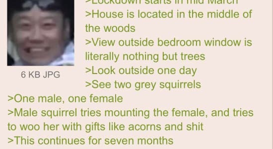 Anon et les écureuils
