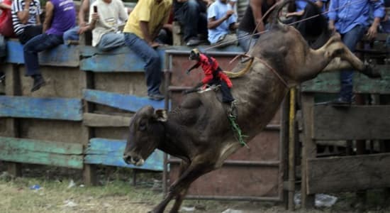 Rodeo style. Bad ass monkey