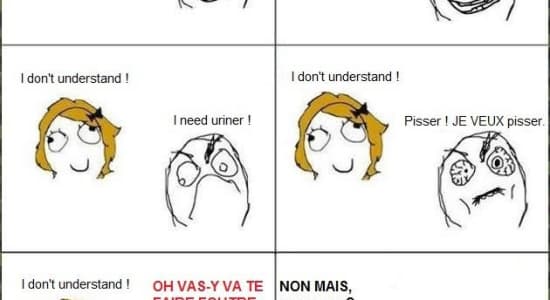 I don\'t understand french