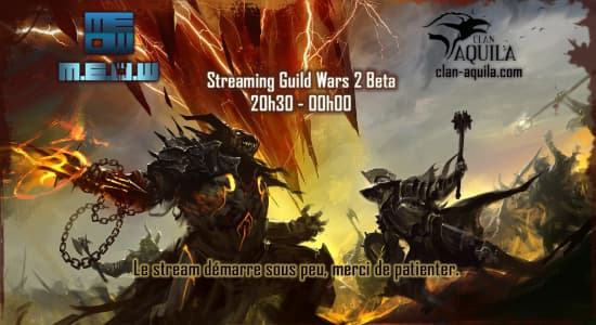 Stream Guild Wars 2 (beta du 27-04 au 30-04)