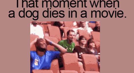 That moment when a dog dies in a movie