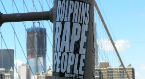 Dolphins Rape People
