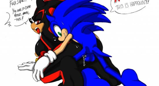 Sonic and Shadow - Love Story