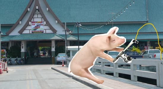 Un porc thaï
