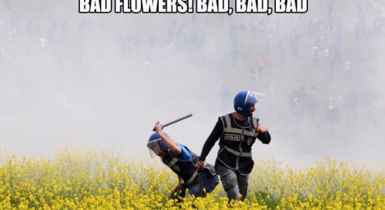 Bad flowers!! [policier, fleur]