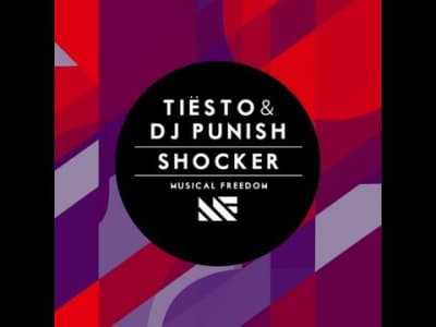 Tiësto &amp; DJ Punish - Shocker