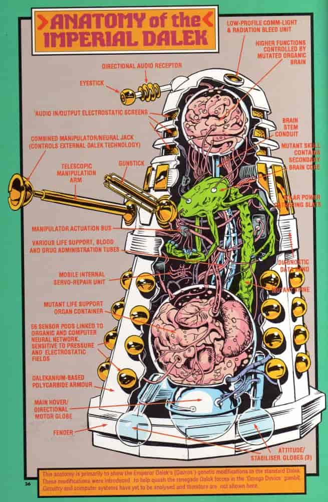 l'anatomie des Daleks